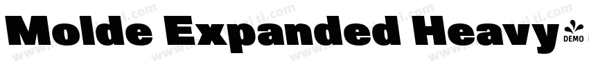 Molde Expanded Heavy字体转换
